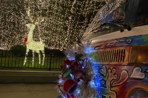 Holiday Lights Tour
