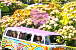 San Francisco Bus Tour